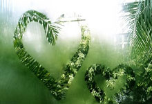 木蜡油床清洗（木蜡油实木床可以马上使用吗）